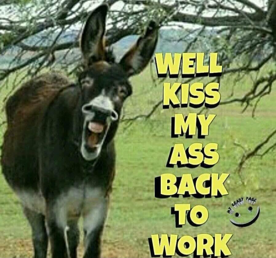 WELL KISS MY ASS BACK TO WORK
