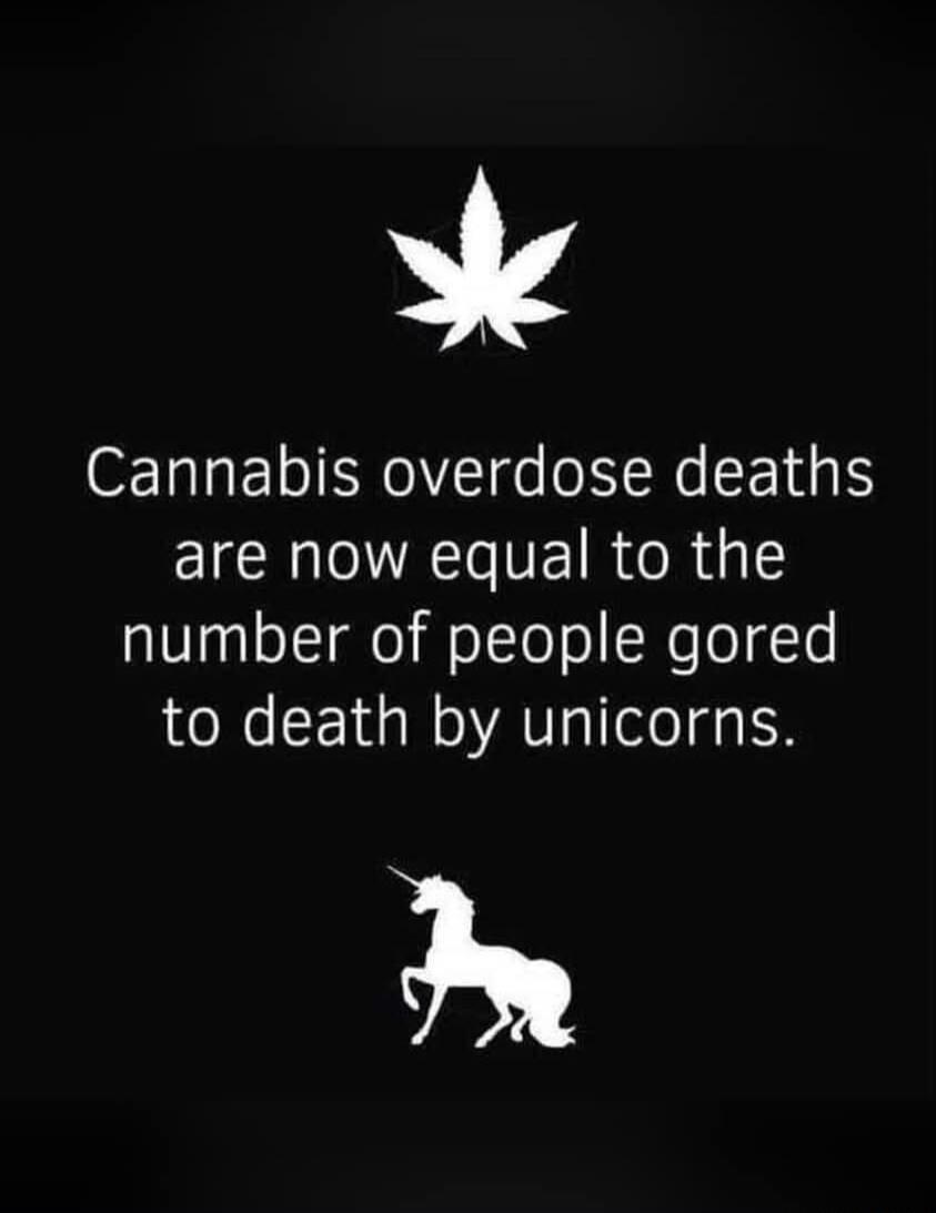 Cannabis overdose deaths are now equal to the number of people gored to death by unicorns.