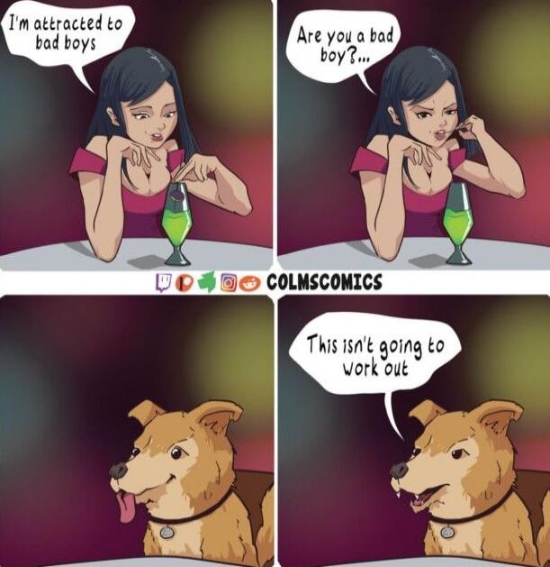 I'm attracted to bad boys
Are you a bad boy?...
This isn't going to work out