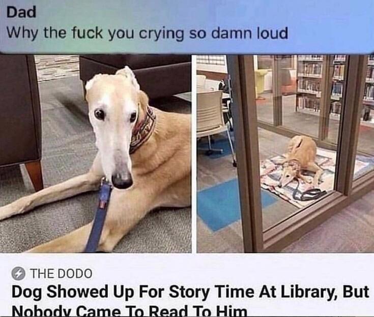 THEDODO Dog Showed Up For Story Time At Library But