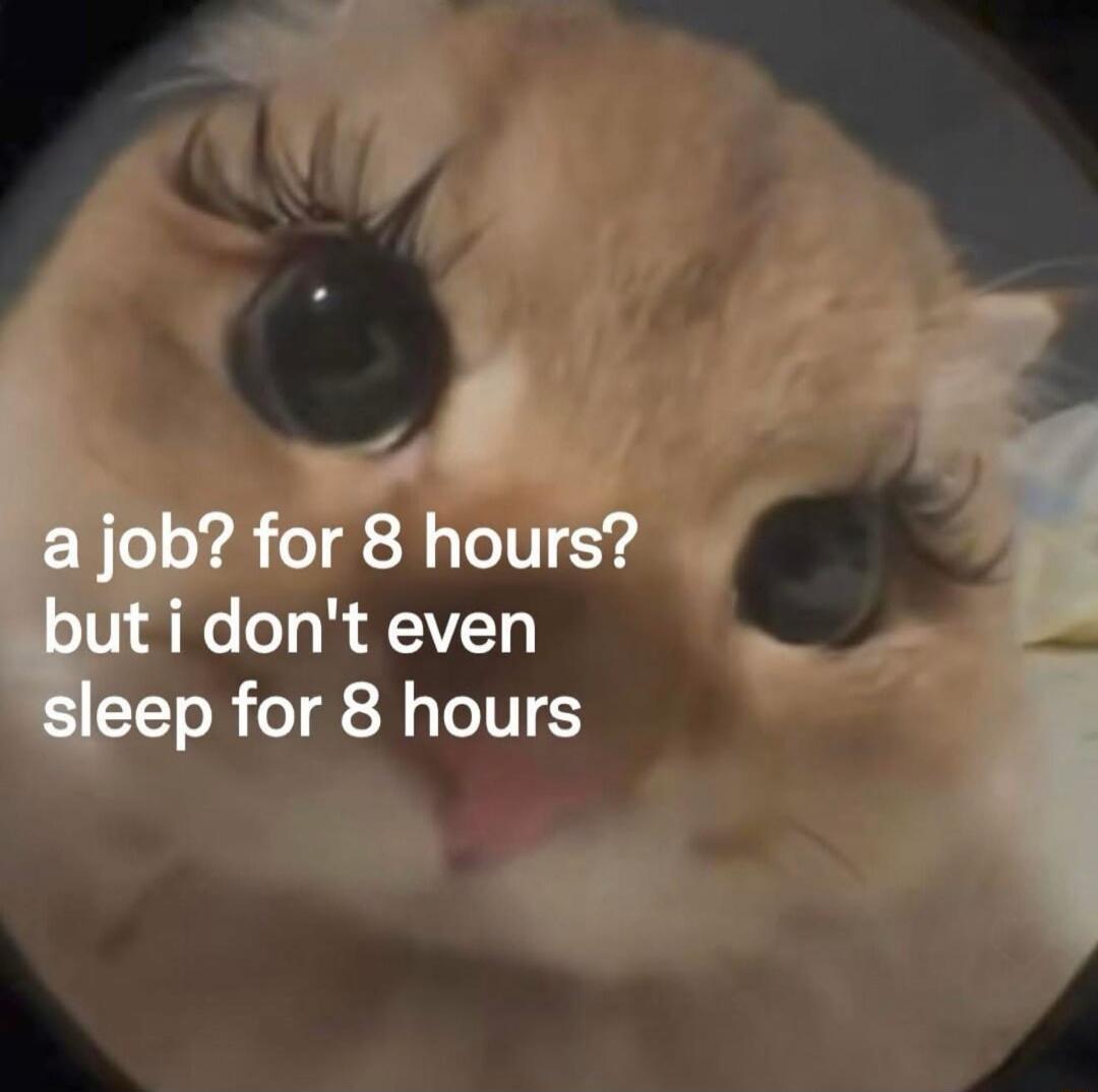 a job? for 8 hours? but i don't even sleep for 8 hours