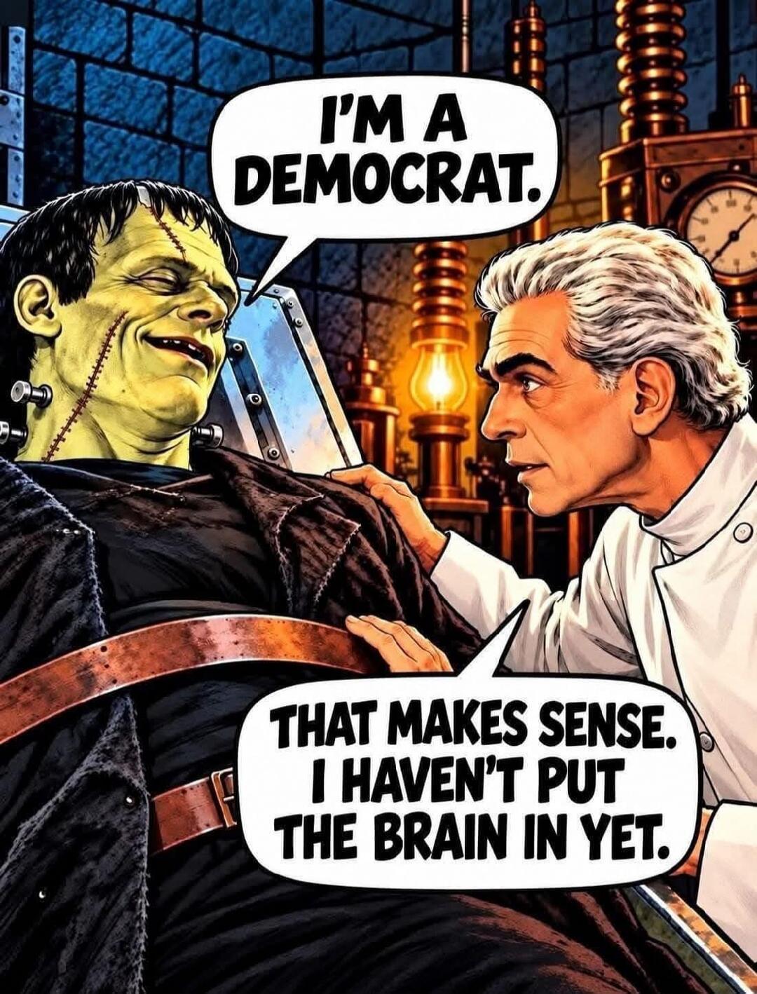 I'M A DEMOCRAT. THAT MAKES SENSE. I HAVEN'T PUT THE BRAIN IN YET.