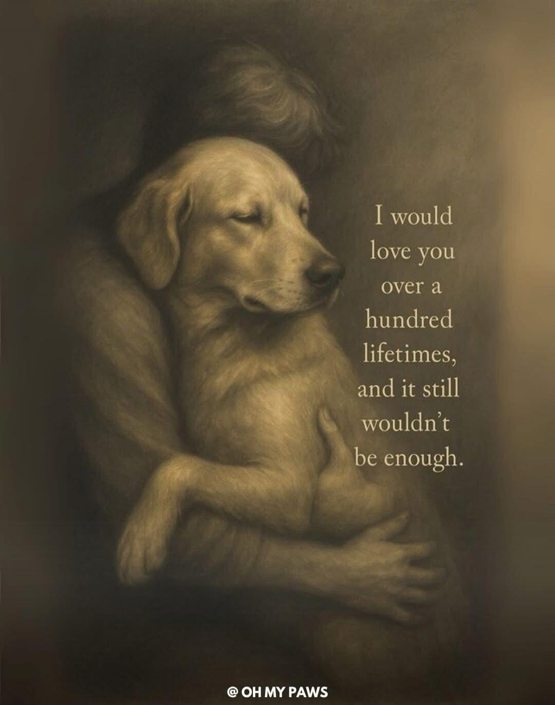 I would love you over a hundred lifetimes, and it still wouldn't be enough. @ OH MY PAWS