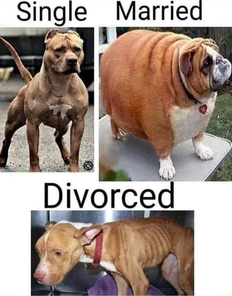 Single     Married
Divorced