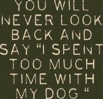 YOU WILL NEVER LOOK BACK AND SAY 