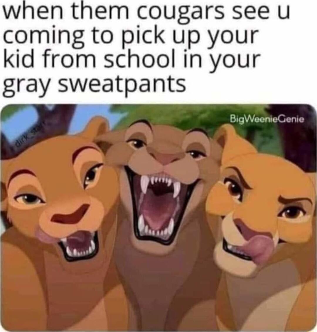 when them cougars see u coming to pick up your kid from school in your gray sweatpants MY 3