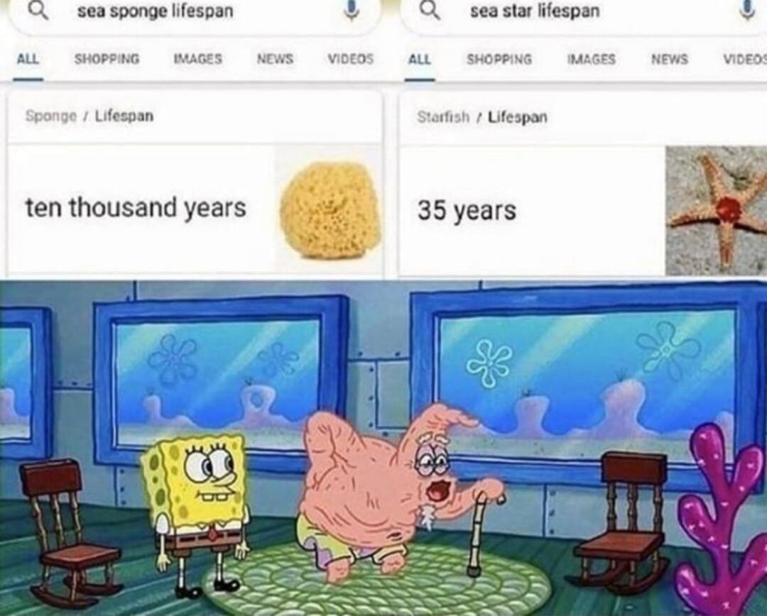 X seasponge iespen 7 R seestwlepn Ulsomn s 1 Ulespon ten thousand years 35 years