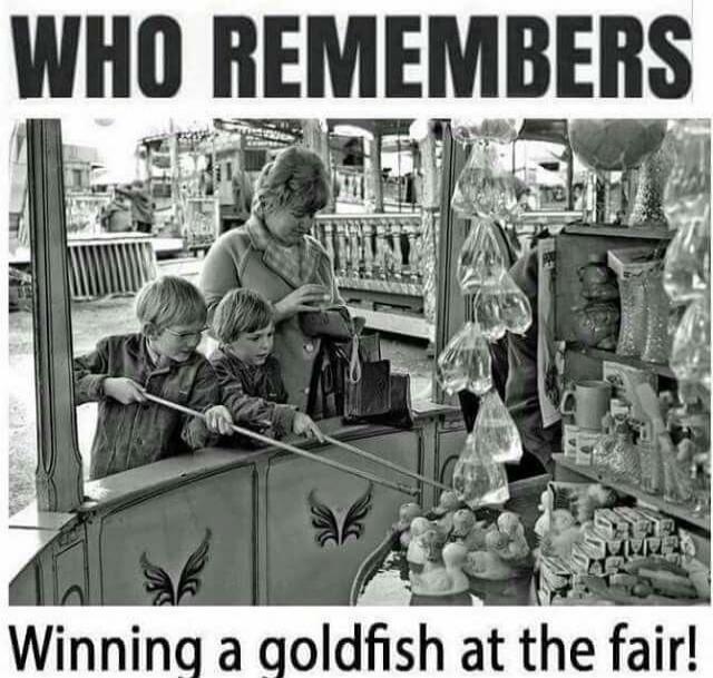 WHO REMEMBERS Winning a goldfish at the fair!