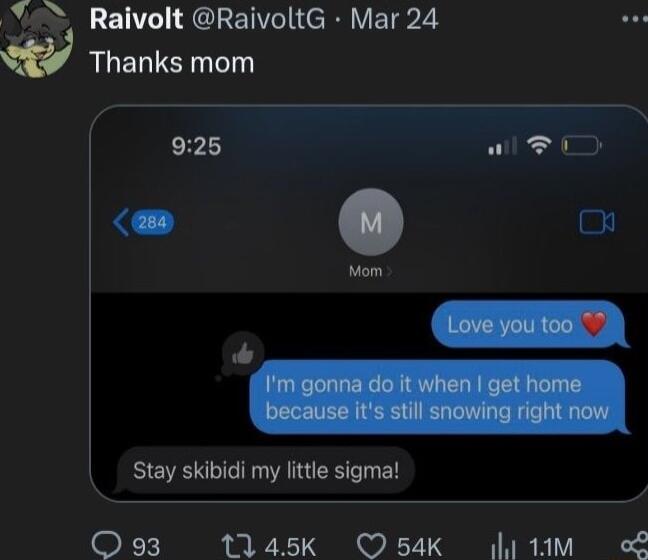 Y Ralvolt RaivoltG Mar 24 w Thanks mom 925 Wl 0 o Stay skibidi my litle sigma Q93 1145k O54K i1m L