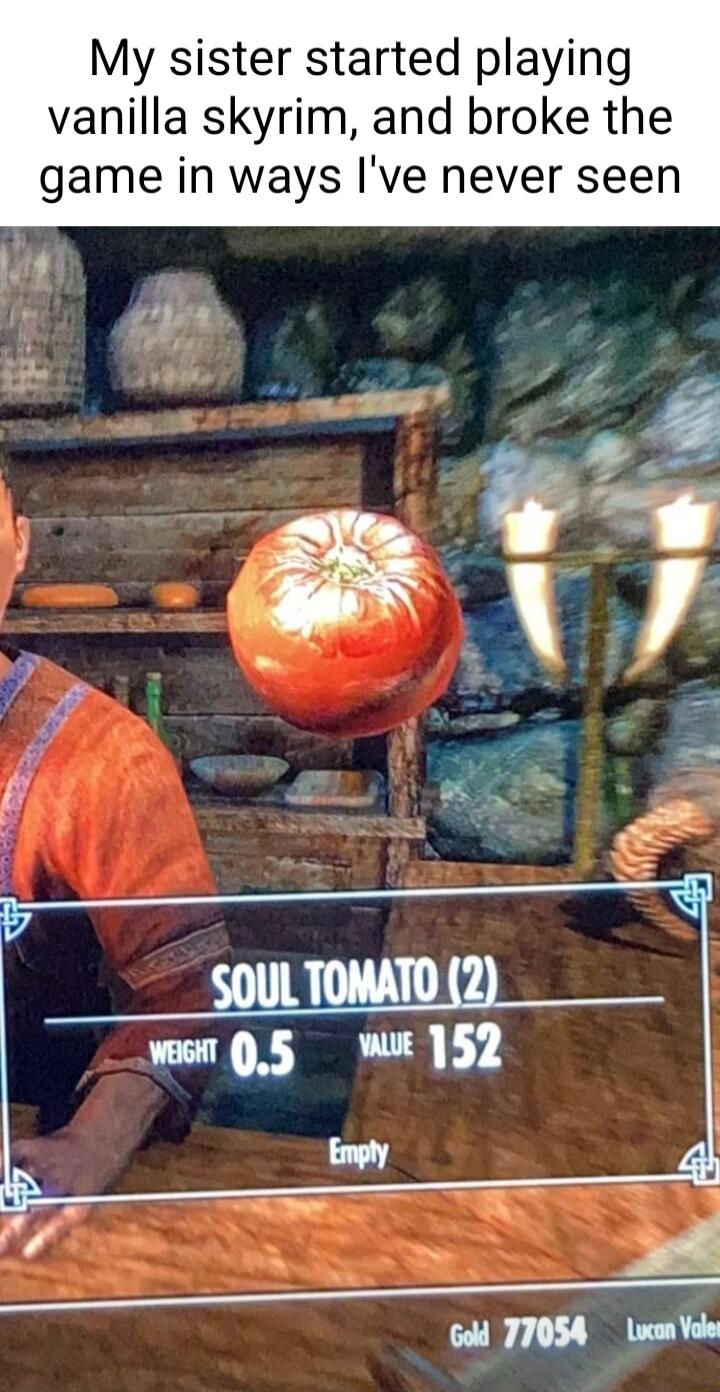 My sister started playing vanilla skyrim and broke the game in ways Ive never seen
