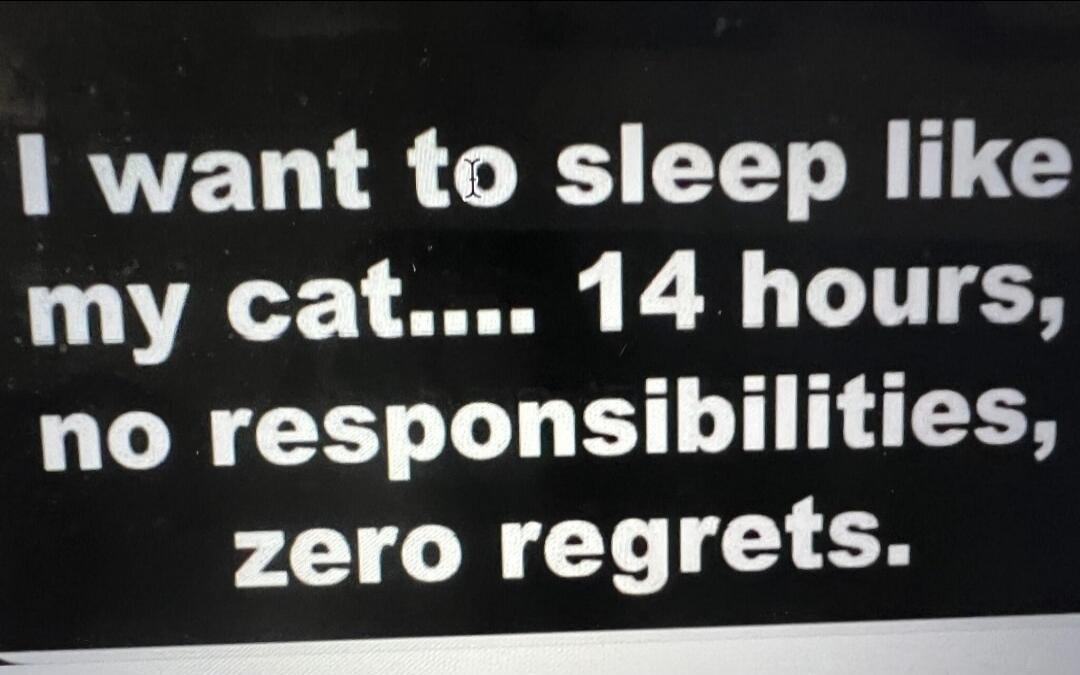 I want to sleep like my cat.... 14 hours, no responsibilities, zero regrets.