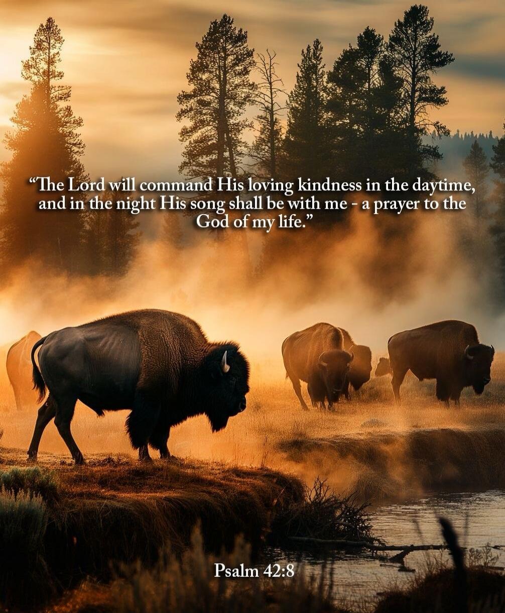 The Lord will command His loving kindness in the daytime, and in the night His song shall be with me - a prayer to the God of my life. Psalm 42:8