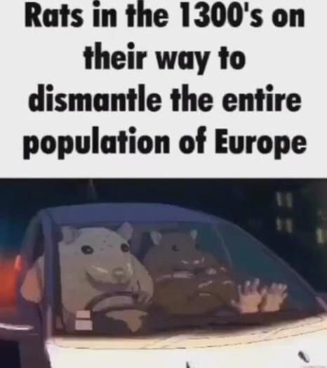 Rats in the 1300s on their way to dismantle the entire population of Europe