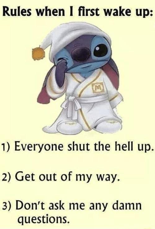 Rules when 1 first wake up 1 Everyone shut the hell up 2 Get out of my way 3 Dont ask me any damn questions