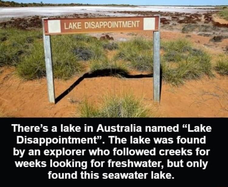 T e oiswevonvent l T e y Theres a lake in Australia named Lake IEET T eI o T i L R ELCRVEER o1 T by an explorer who followed creeks for weeks looking for freshwater but only found this seawater lake