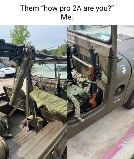 Them how pro 2A are you Me