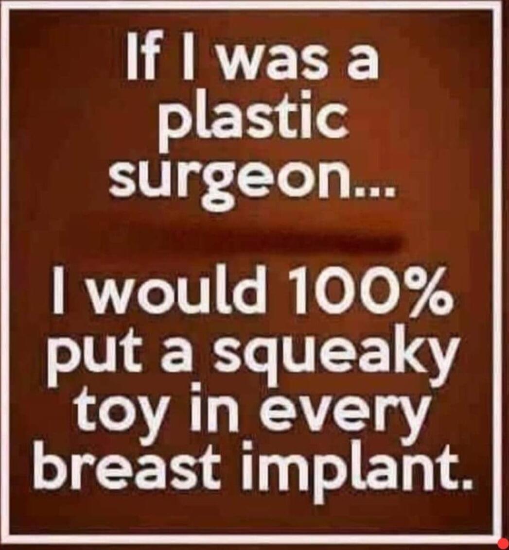 1A RVERE plastic surgeon RYZ1V ey o0 73 put a squeaky toy in every GICER AT IET