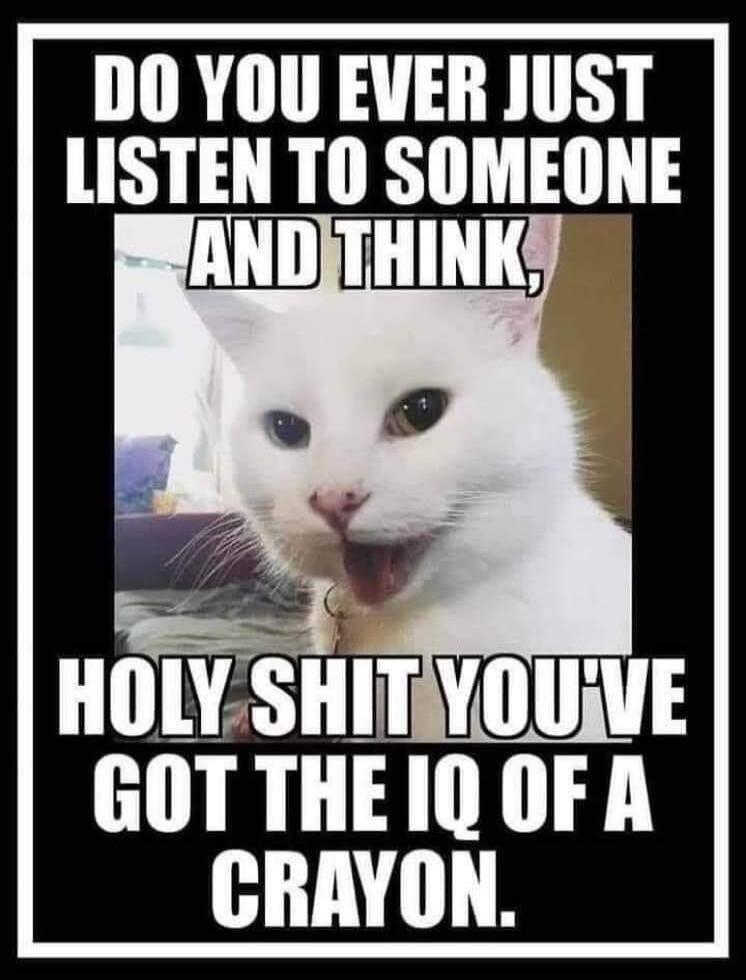 DO YOU EVER JUST LISTEN TO SOMEONE AND THINK, HOLY SHIT YOU'VE GOT THE IQ OF A CRAYON.
