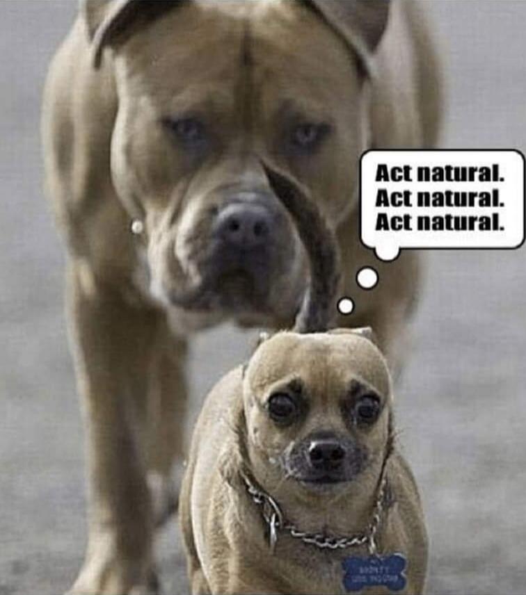 Act natural. Act natural. Act natural.