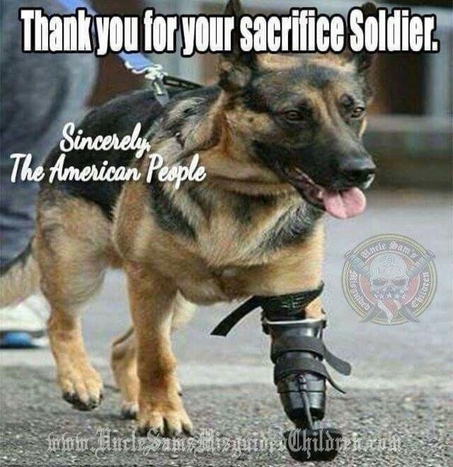 Thank you for your sacrifice Soldier. Sincerely, The American People