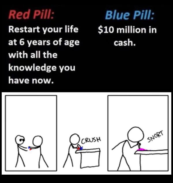 Blue Pill Restart your life 10 million in E N AR T cash with all the knowledge you LEVR LI