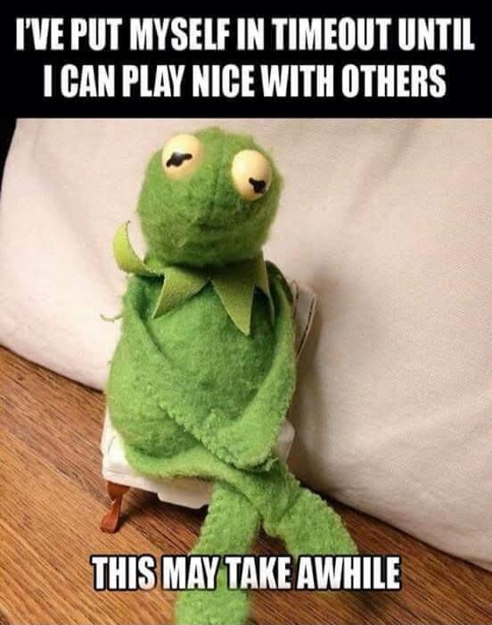 I'VE PUT MYSELF IN TIMEOUT UNTIL I CAN PLAY NICE WITH OTHERS THIS MAY TAKE AWHILE