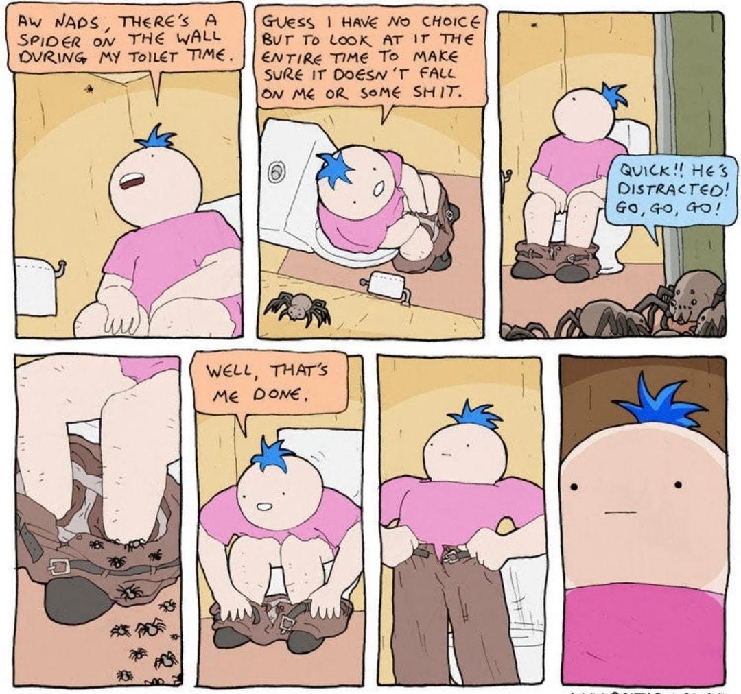 Bw NADS THeREs A SPIDER onv THE WALL OVRING MY TolleT TIME GUess HAVE No CHoICE BUT To Look AT IT THE ENTIRe TIME To MAKE SURE IT DoEsw T FALL ON M OR SoM SHIT WwWW DEATHRUL GE COM
