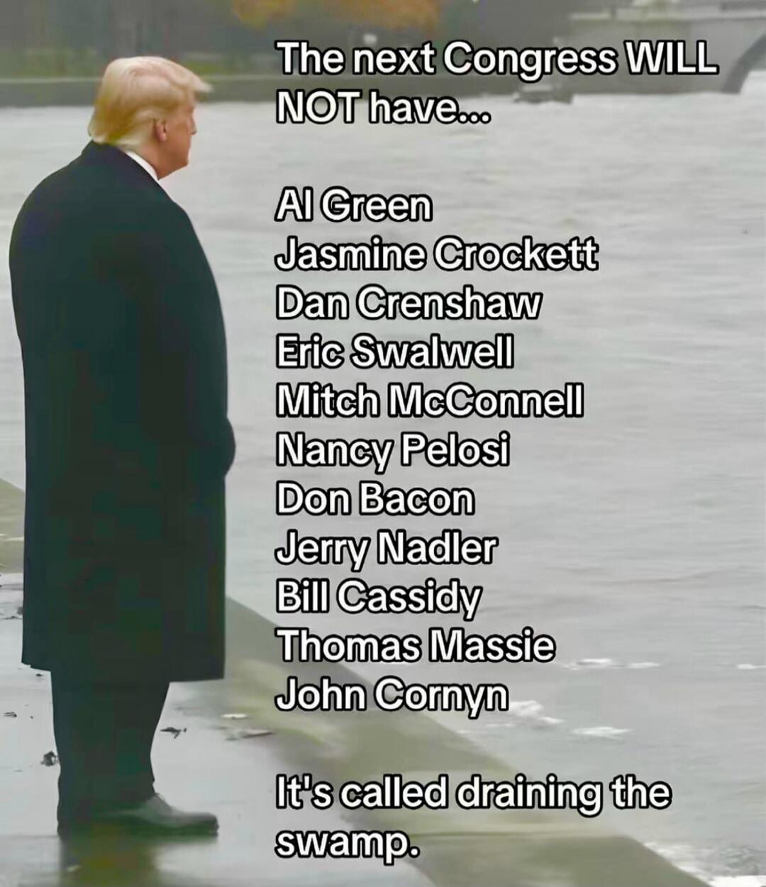 The next Congress WILL NOT have... Al Green Jasmine Crockett Dan Crenshaw Eric Swalwell Mitch McConnell Nancy Pelosi Don Bacon Jerry Nadler Bill Cassidy Thomas Massie John Cornyn It's called draining the swamp.