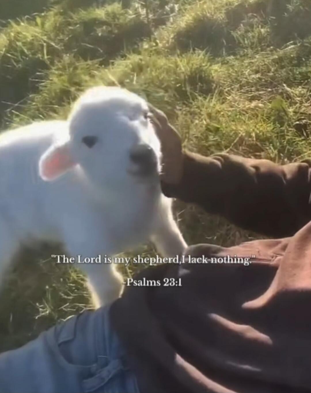 The Lord is my shepherd, I lack-nothing. Psalms 23:1