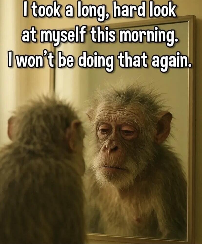 I took a long, hard look at myself this morning. I won’t be doing that again.