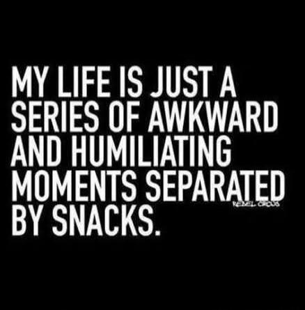 MY LIFE IS JUST A SERIES OF AWKWARD AND HUMILIATING MOMENTS SEPARATED BY SNACKS.