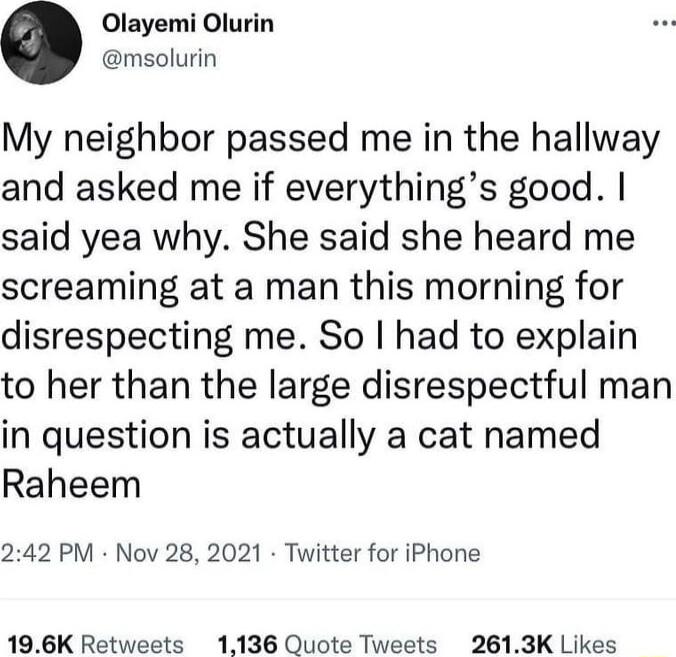 Olayemi Olurin msolurin My neighbor passed me in the hallway and asked me if everythings good said yea why She said she heard me screaming at a man this morning for disrespecting me So had to explain to her than the large disrespectful man in question is actually a cat named Raheem 242 PM Nov 28 2021 Twitter for iPhone 196K Retweets 1136 Quote Tweets 2613K Likes