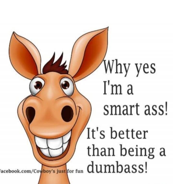 Why yes I'm a smart ass! It's better than being a dumbass! Facebook.com/Cowboy's just for fun
