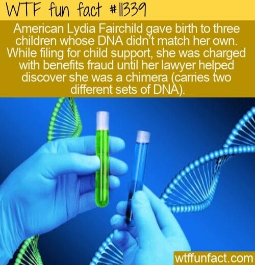 WTF fun fact 1339 A