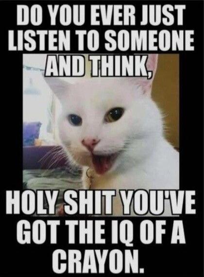 DO YOU EVER JUST LISTEN TO SOMEONE AND THINK, HOLY SHIT YOU'VE GOT THE IQ OF A CRAYON.