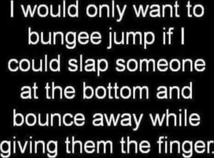 I would only want to bungee jump if I could slap someone at the bottom and bounce away while giving them the finger