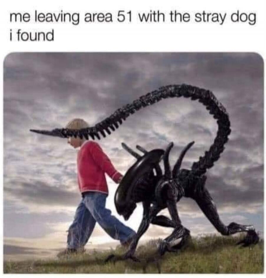 me leaving area 51 with the stray dog i found
