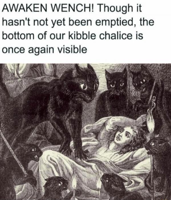 AWAKEN WENCH! Though it hasn't not yet been emptied, the bottom of our kibble chalice is once again visible