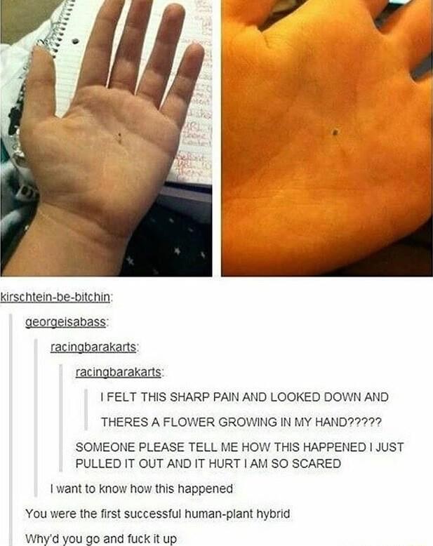 racingoarakarts I FELT THIS SHARP PAIN AND LOOKED DOWN AND THERES A FLOWER GROWING IN MY HAND77777 SOMEONE PLEASE TELL ME HOW THIS HAPPENED JUST PULLED IT OUT AND IT HURT AM SO SCARED 1want to know how this happened You were the first successful human plant hybrid Whyd you go and fuck it up