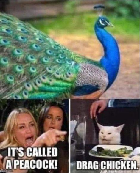 NPEACOCK