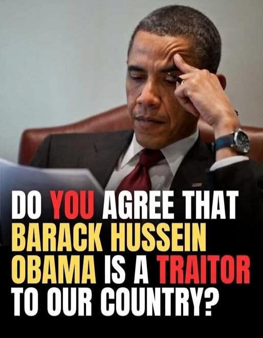 DO YOU AGREE THAT BARACK HUSSEIN OBAMA IS A TRAITOR TO OUR COUNTRY?