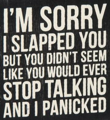 I'M SORRY I SLAPPED YOU BUT YOU DIDN'T SEEM LIKE YOU WOULD EVER STOP TALKING AND I PANICKED