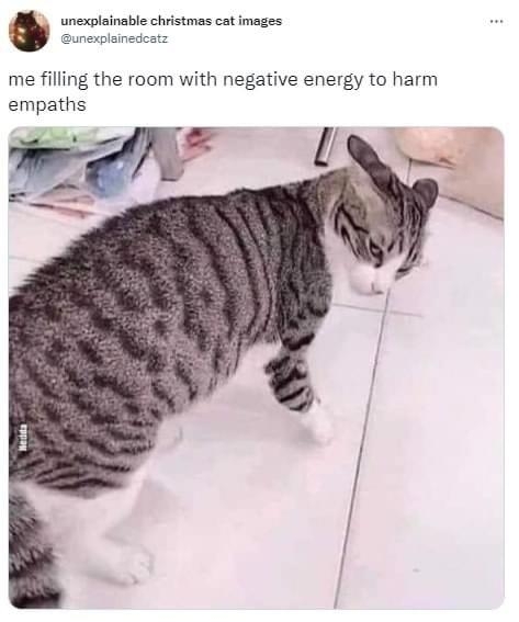 unexpleinedeatz P me filling the room with negative energy to harm empaths 4 AM Nov 17 2022 Twitter Web App