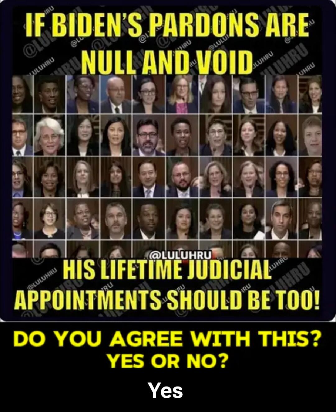 IF BIDEN'S PARDONS ARE NULL AND VOID HIS LIFETIME JUDICIAL APPOINTMENTS SHOULD BE TOO! DO YOU AGREE WITH THIS? YES OR NO? Yes