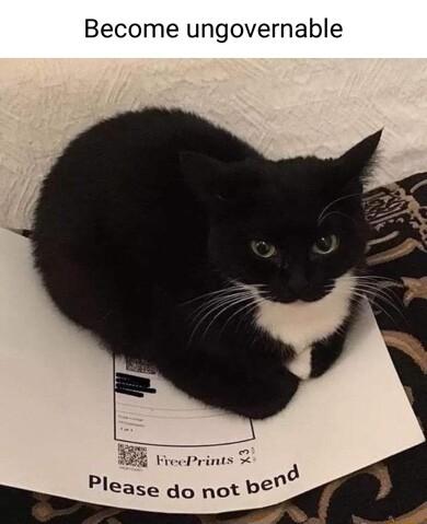 Become ungovernable VreoPrints Please do not be