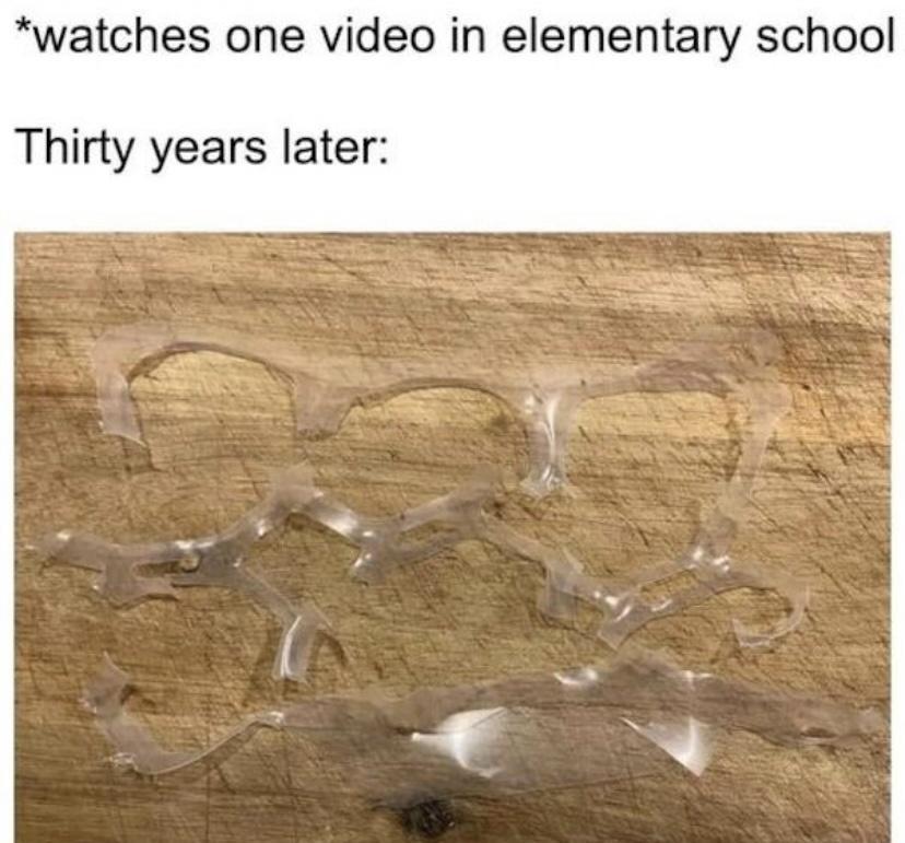 watches one video in elementary school Thirty years later