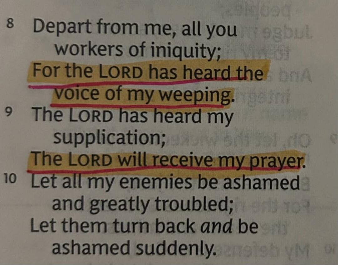 Depart from me, all you workers of iniquity; For the LORD has heard the voice of my weeping. The LORD has heard my supplication; The LORD will receive my prayer. Let all my enemies be ashamed and greatly troubled; Let them turn back and be ashamed suddenly.