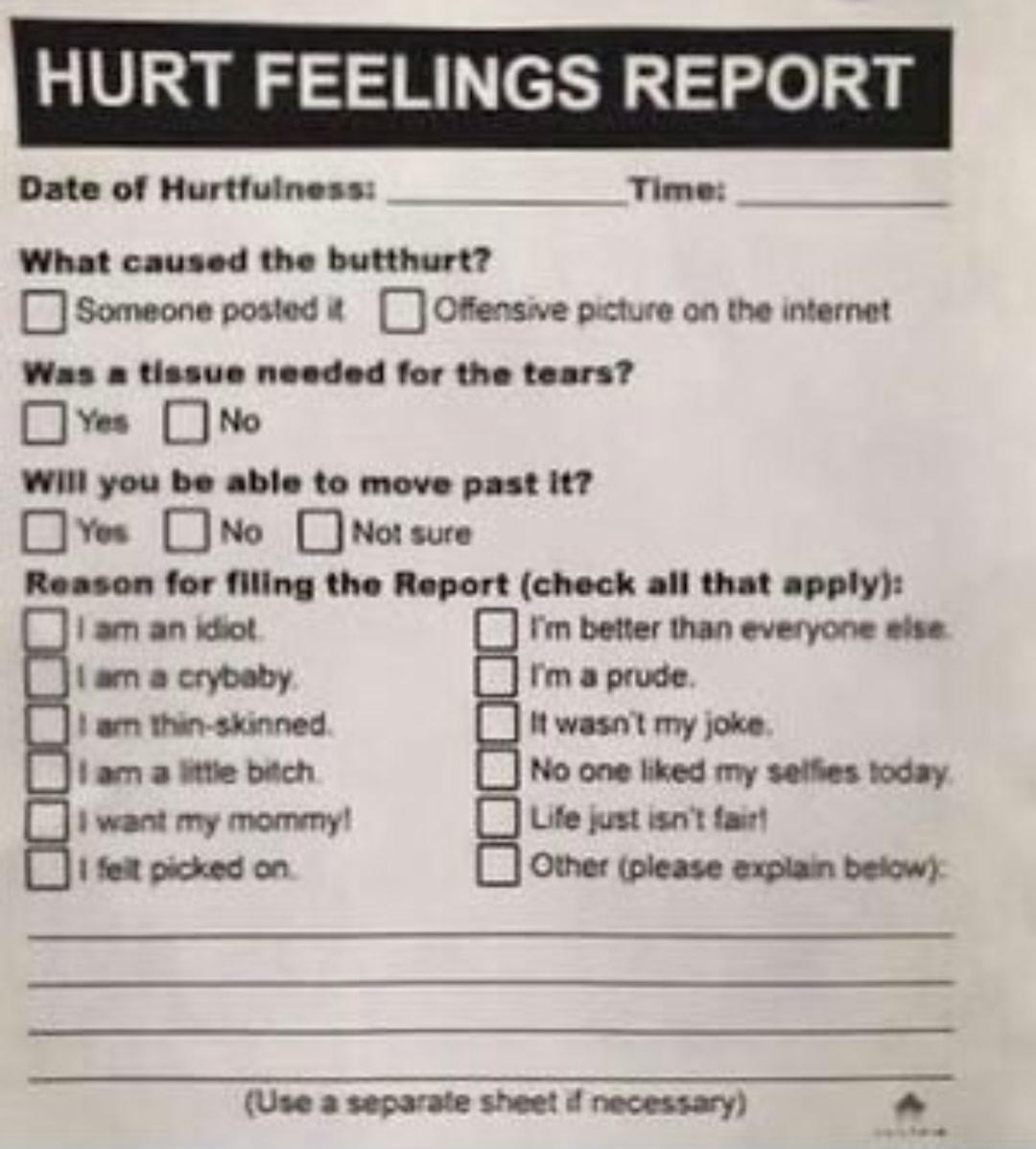 HURT FEELINGS REPORT Date of Hurtfulness s Time What caused the butthurt D Someone posted D Offensive picture on the internet Was a tissue nesded for the tears Clves N Will you be able to move past it OY Ine DNocwro Reason for filing the Report check all that apply am an kol Im better than everyone sise am a crybaby Blmnpmoe am thin siunned It wasnt my joke am a Mttle bich No one liked my selfies 