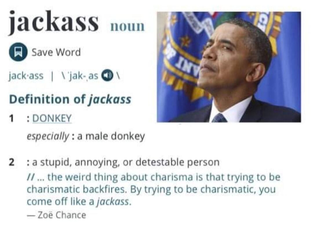 jackass noun Save Word jack·ass | \'jak-,as\ Definition of jackass 1 : DONKEY especially : a male donkey 2 : a stupid, annoying, or detestable person // ... the weird thing about charisma is that trying to be charismatic backfires. By trying to be charismatic, you come off like a jackass. — Zoë Chance