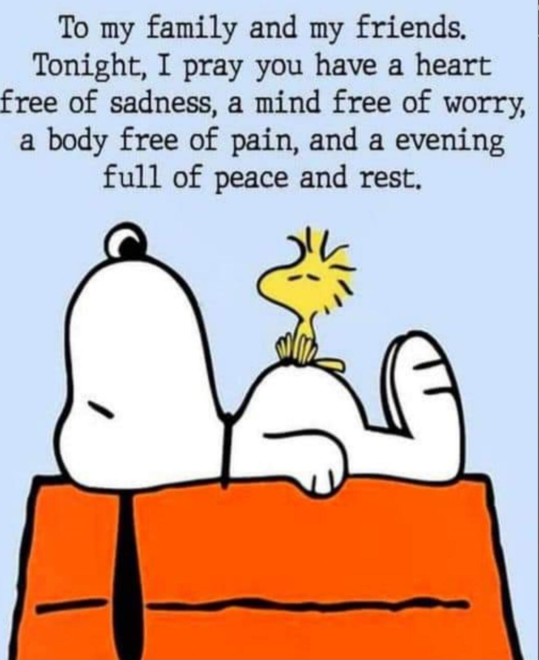 To my family and my friends. Tonight, I pray you have a heart free of sadness, a mind free of worry, a body free of pain, and a evening full of peace and rest.